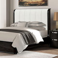MASARA Black Upholstered Platform Bed