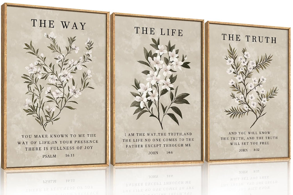 DRACIT Framed Canvas Wall Art Set