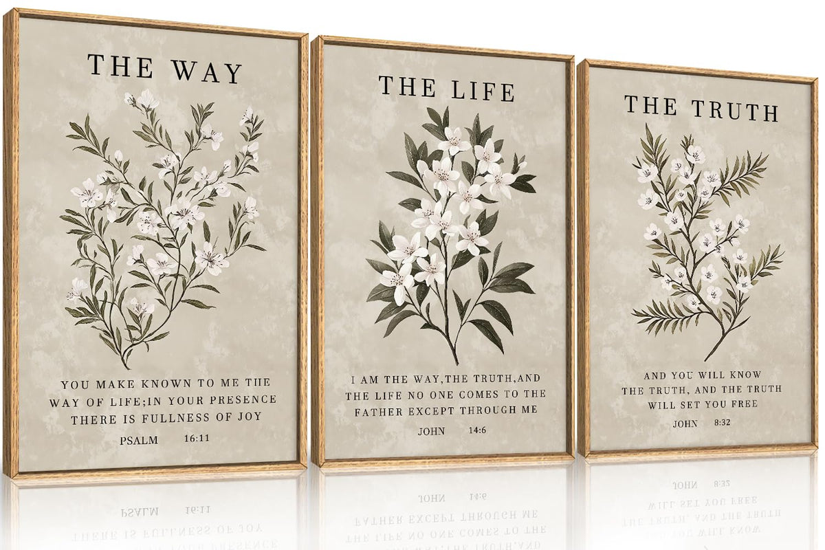 DRACIT Framed Canvas Wall Art Set