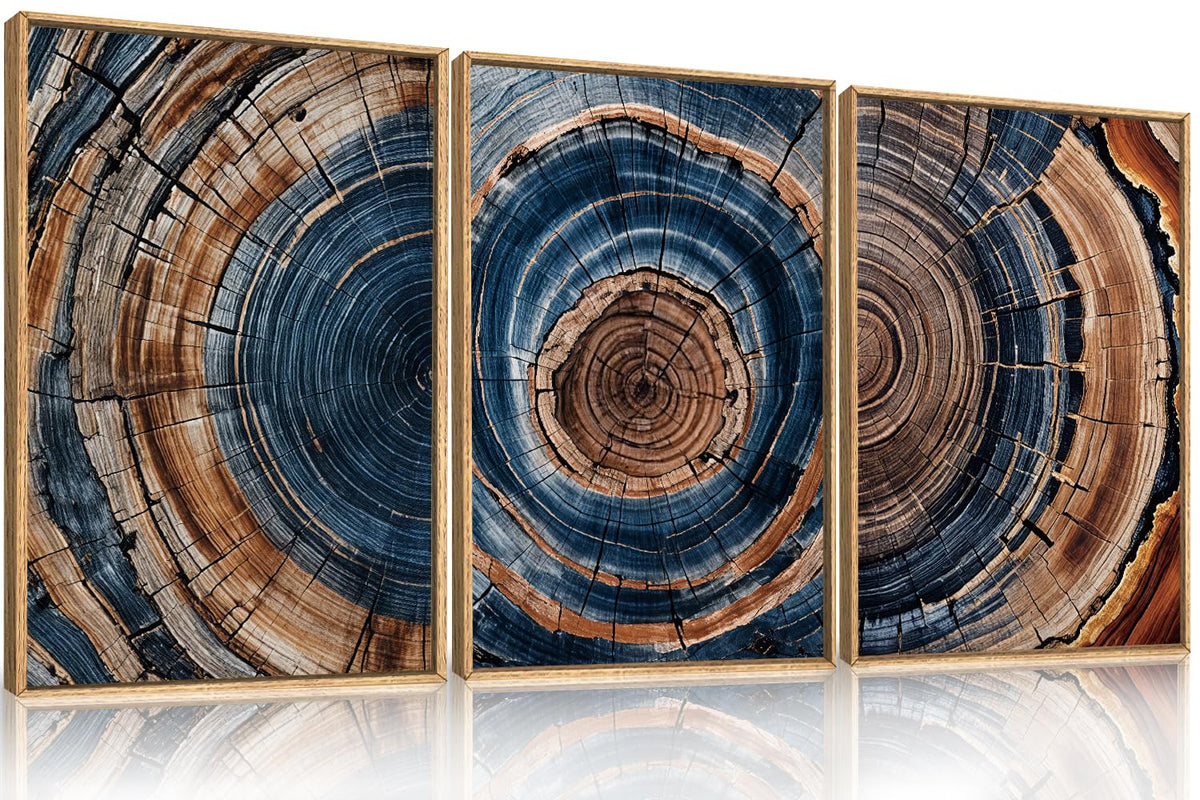 DRACIT Framed Canvas Wall Art Set